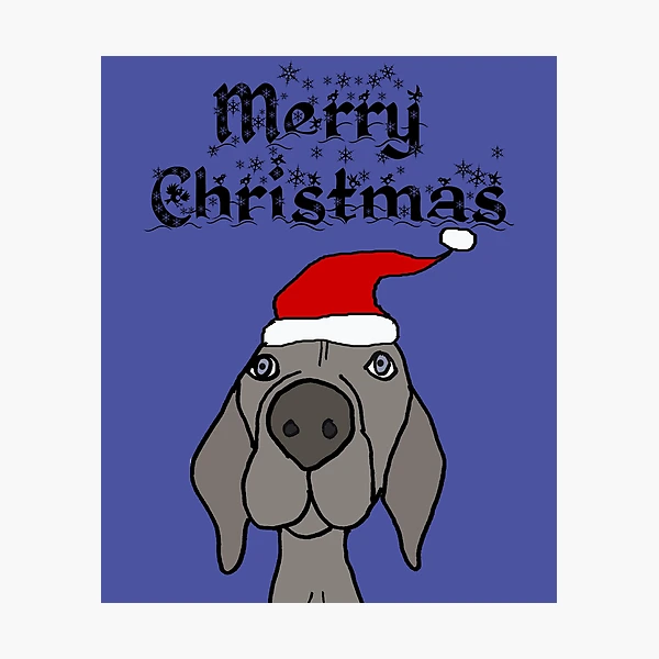 Weimaraner Dog Christmas Hat Present' Sticker