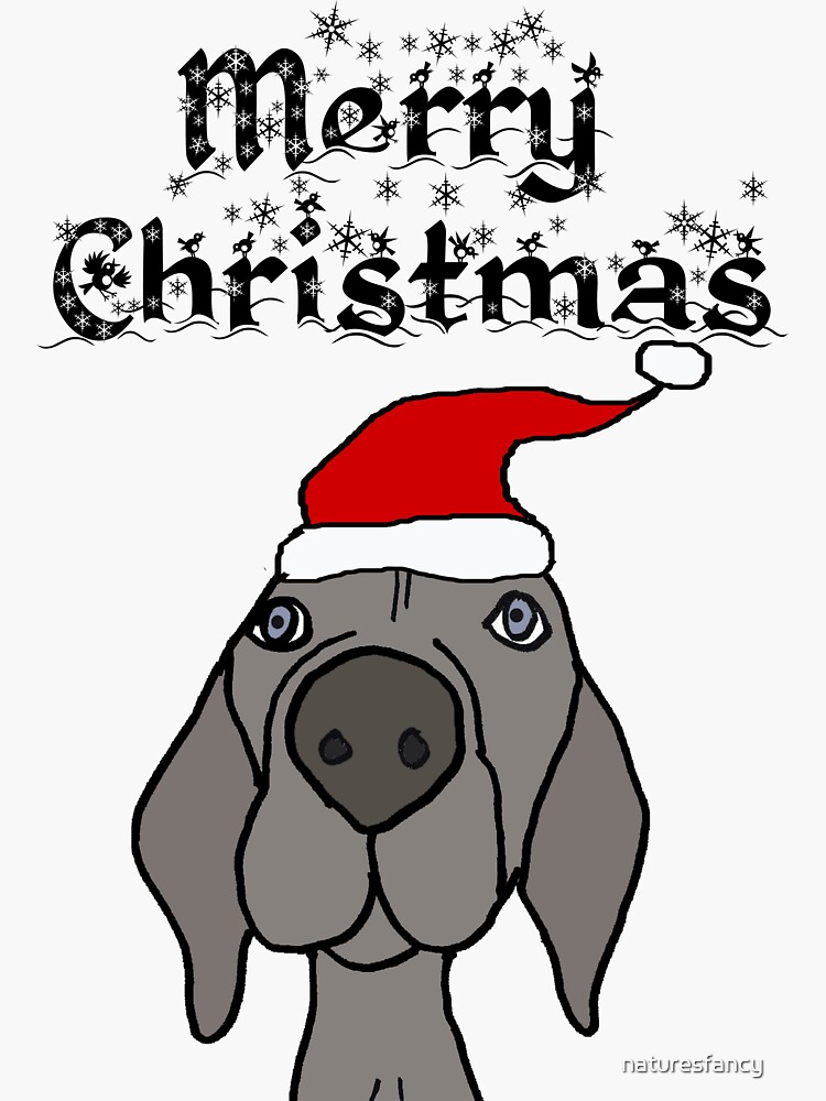 Weimaraner Dog Christmas Hat Present' Sticker