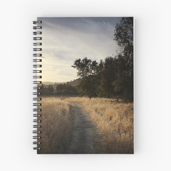 Item preview, Evening Path designed and sold by Lynn Starner.