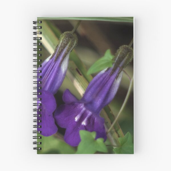 Item preview, Drooping pansies Leith Park Victoria 20151109 0669   designed and sold by Fred Mitchell.