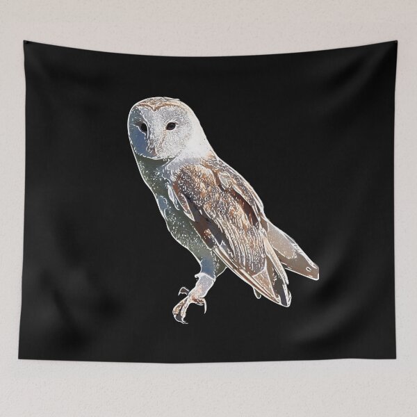 Item preview, Barn Owl White Alternate Print designed and sold by designsasstultd.