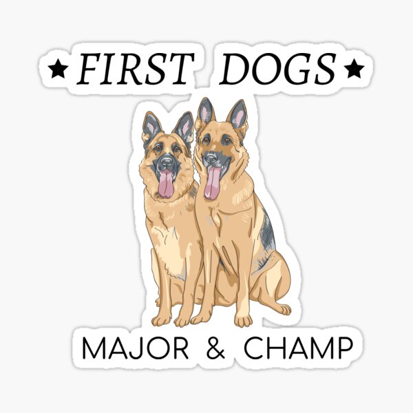 Biden Bumper Sticker 2020 Barking 4 Biden dog 