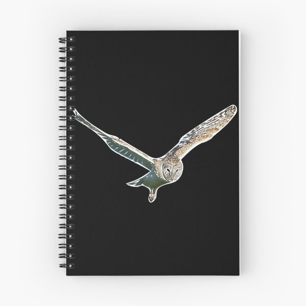 Item preview, Barn Owl Flying White Alternate Print designed and sold by designsasstultd.