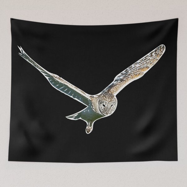 Item preview, Barn Owl Flying White Alternate Print designed and sold by designsasstultd.