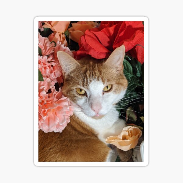 Fox, the Cat, in flowers Sticker