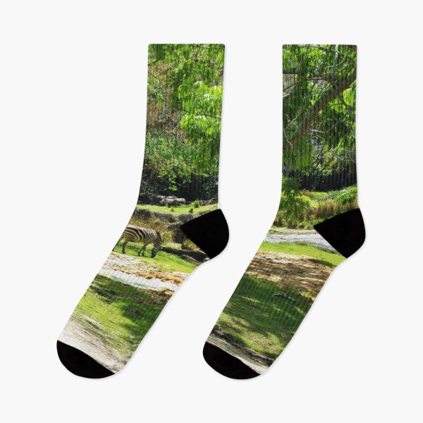 Item preview, Zebra Grazing On The African Plain designed and sold by toddbrooney.