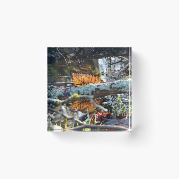 Item preview, Reflection designed and sold by emarinelife.