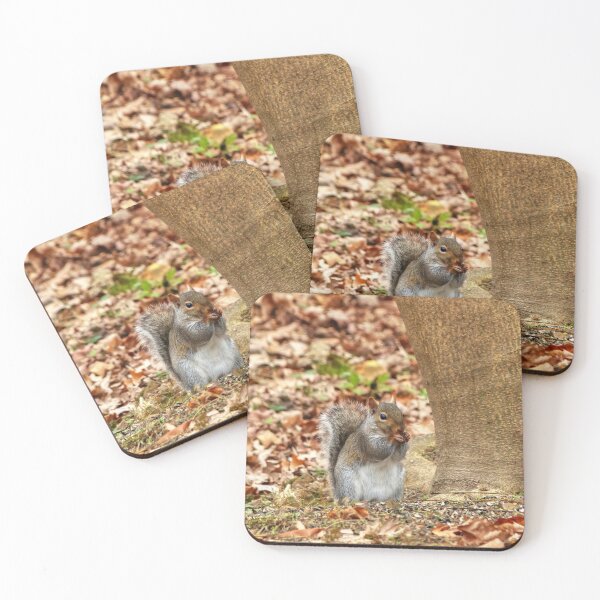 Item preview, Hungry Squirrel designed and sold by Frankie Cat Photography.