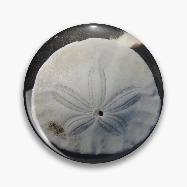 Item preview, Westport Sand Dollar designed and sold by emarinelife.
