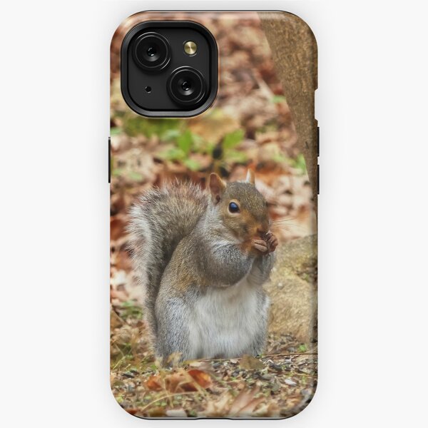 Utility Pole Squirrel iPhone Case