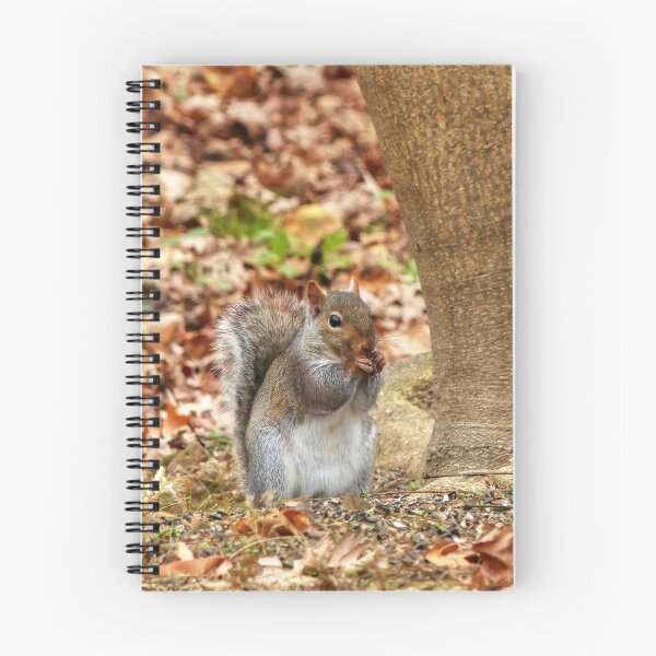 Item preview, Hungry Squirrel designed and sold by Frankie Cat Photography.