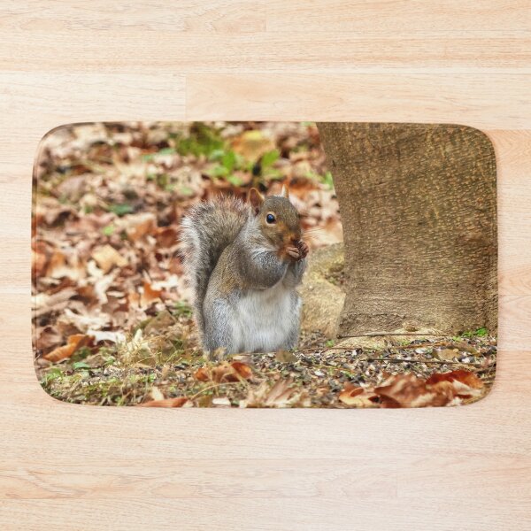 Item preview, Hungry Squirrel designed and sold by Frankie Cat Photography.