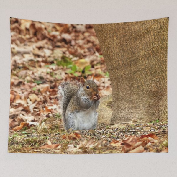 Item preview, Hungry Squirrel designed and sold by Frankie Cat Photography.