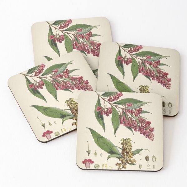 Item preview, Buddleja Colvilei by J. F. Cathcart and W. H. Fitch  designed and sold by Amanda1775.