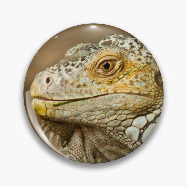 Item preview, Iguana designed and sold by Rick Nicholas.