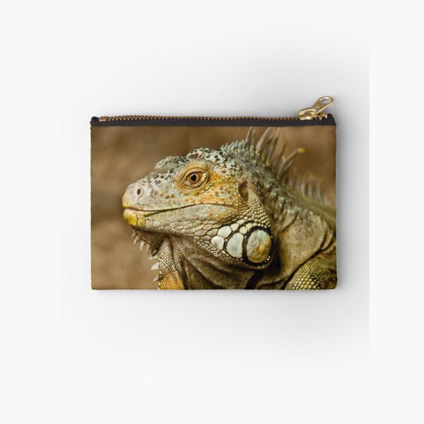 Item preview, Iguana designed and sold by Rick Nicholas.