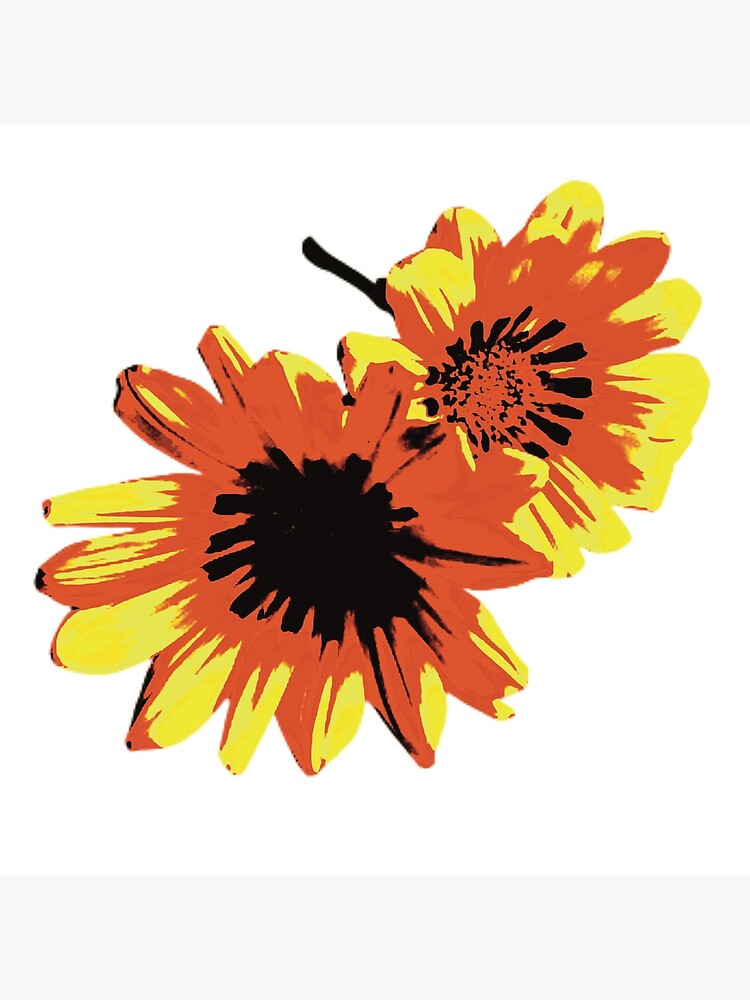 "Dandelion Daisy Flower Pop Art" Poster for Sale by Trixiloo Redbubble