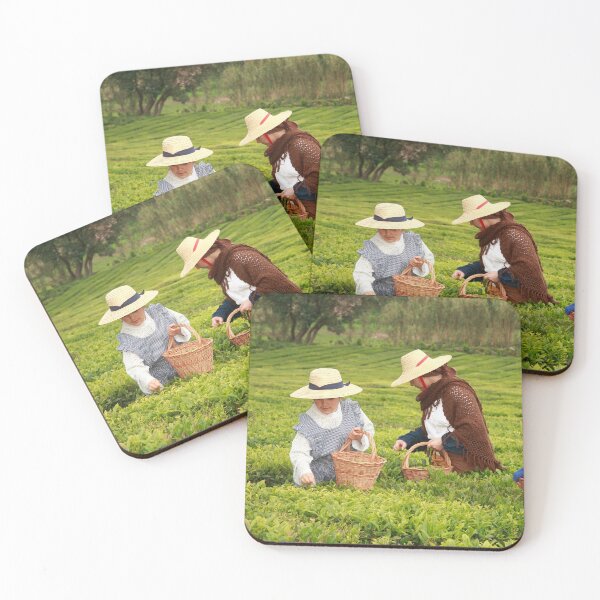 Item preview, Porto Formoso tea gardens designed and sold by Gaspar Avila.