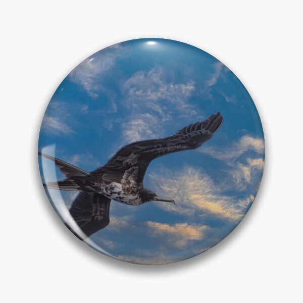 Item preview, Male Frigatebird designed and sold by JohnKarmouche.
