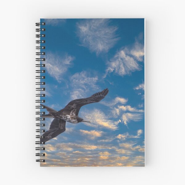 Item preview, Male Frigatebird designed and sold by JohnKarmouche.