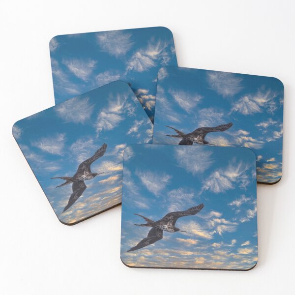 Item preview, Male Frigatebird designed and sold by JohnKarmouche.