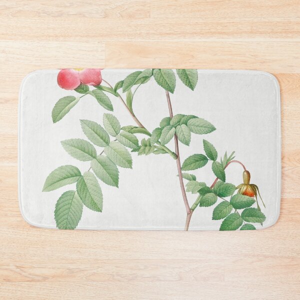 Item preview, Les Roses by Pierre-Joseph Redouté designed and sold by EsotericBotanic.