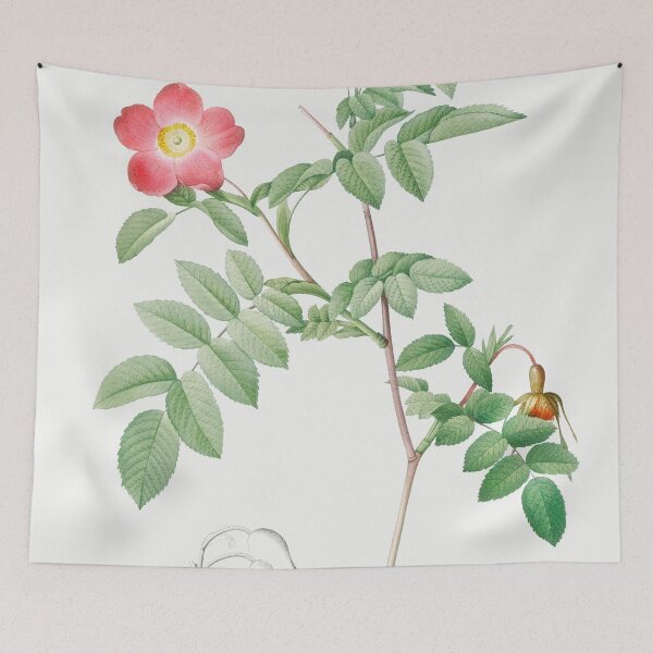 Item preview, Les Roses by Pierre-Joseph Redouté designed and sold by EsotericBotanic.