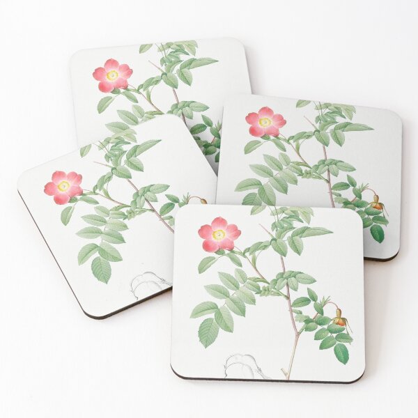 Item preview, Les Roses by Pierre-Joseph Redouté designed and sold by EsotericBotanic.
