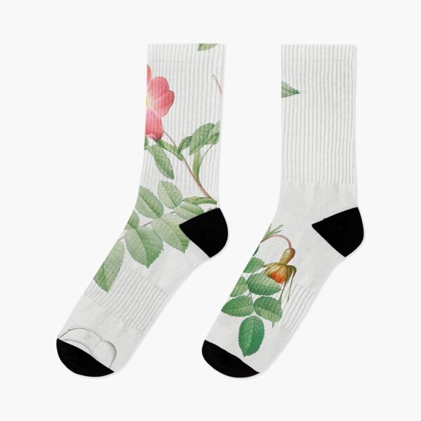 Item preview, Les Roses by Pierre-Joseph Redouté designed and sold by EsotericBotanic.