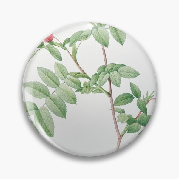Item preview, Les Roses by Pierre-Joseph Redouté designed and sold by EsotericBotanic.