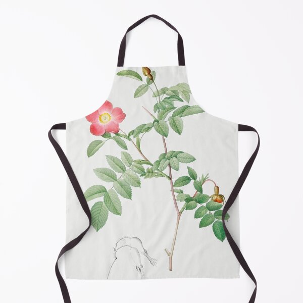 Item preview, Les Roses by Pierre-Joseph Redouté designed and sold by EsotericBotanic.