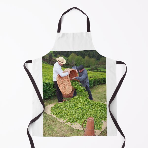 Item preview, Tea gardens designed and sold by Gaspar Avila.