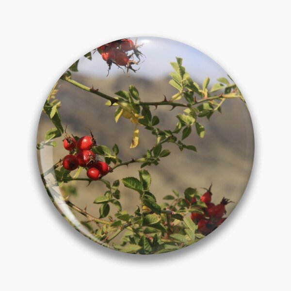 Item preview, Rosehips designed and sold by coffeebean.