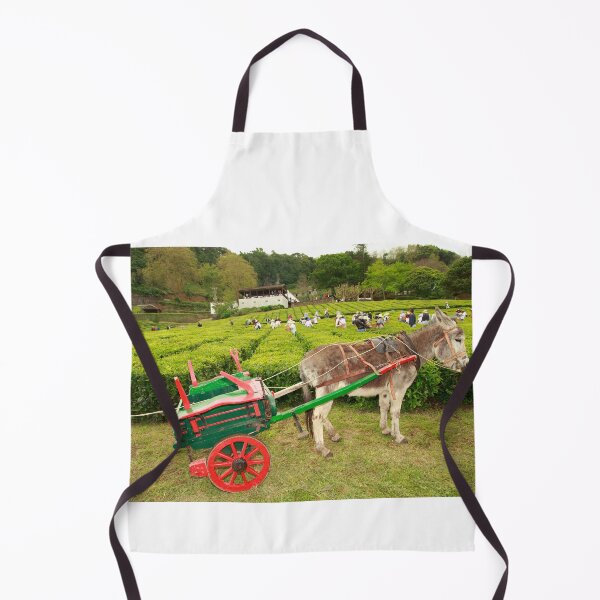 Item preview, Donkey and cart designed and sold by Gaspar Avila.