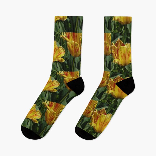 Item preview, Golden Tulips designed and sold by ginnymac.