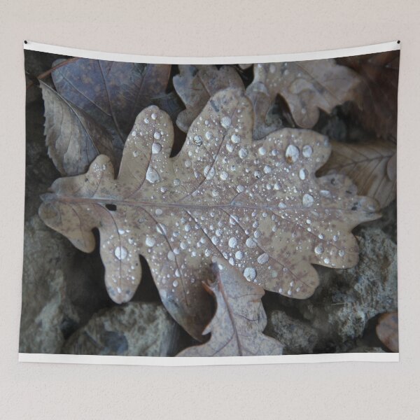 Item preview, Oak leaf in autumn and pearls drops of water designed and sold by EstelleRossetti.