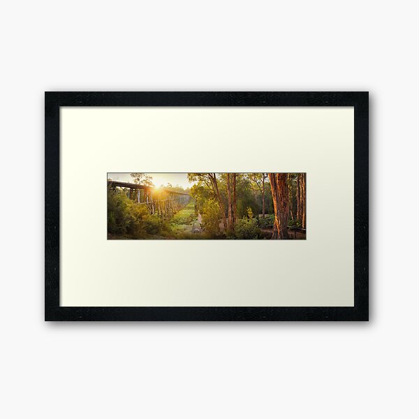Framed Art Print
