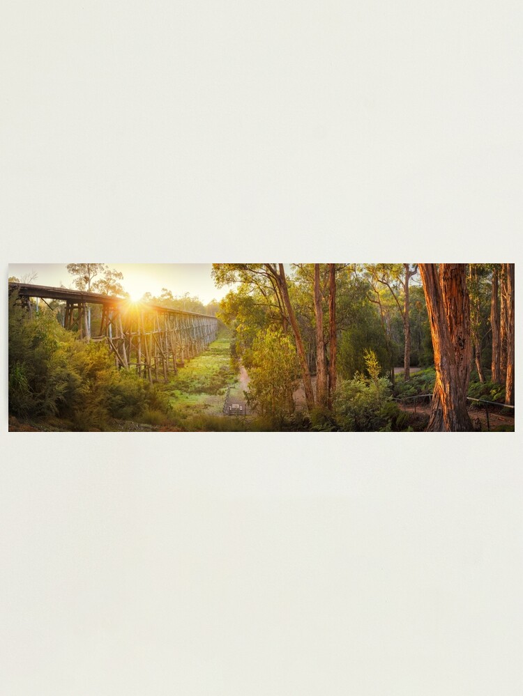 Thumbnail 1 of 3, Photographic Print, Stony Creek Trestle Bridge, Lakes Entrance, Victoria, Australia designed and sold by Chockstone.