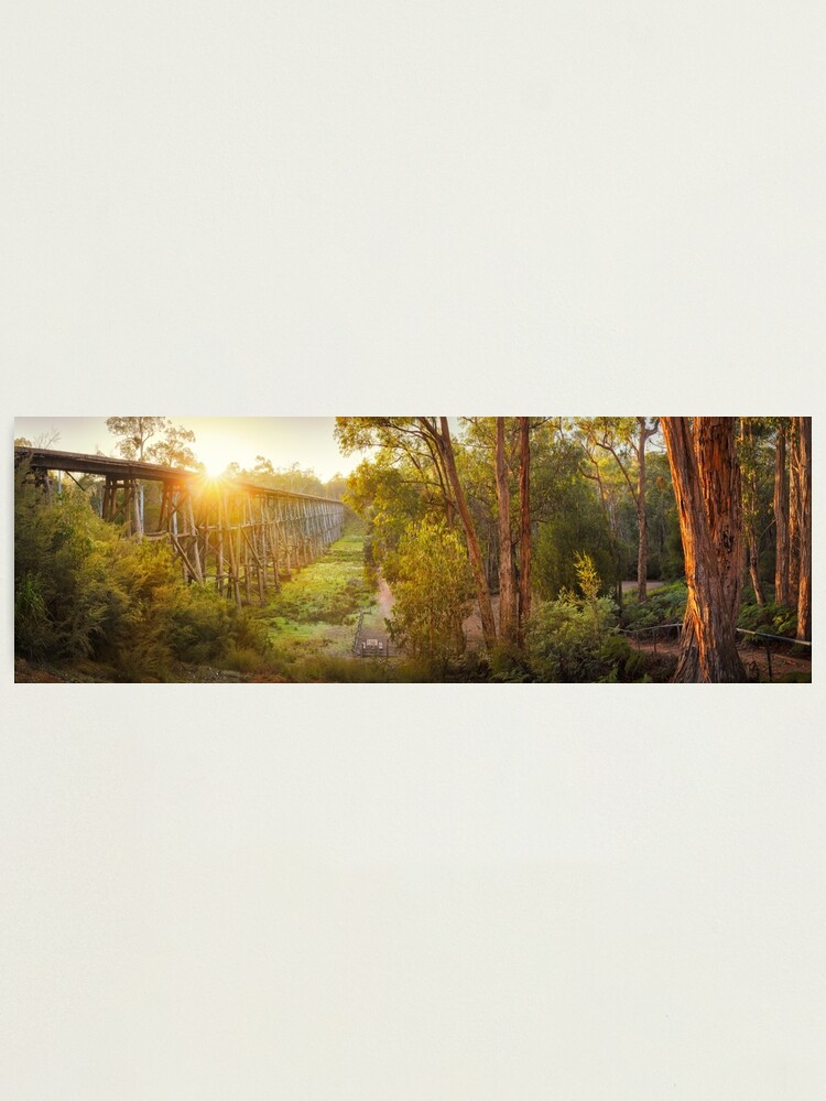 Thumbnail 1 of 3, Photographic Print, Stony Creek Trestle Bridge, Lakes Entrance, Victoria, Australia designed and sold by Chockstone.