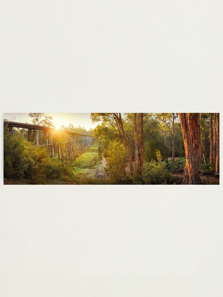 Thumbnail 1 of 3, Photographic Print, Stony Creek Trestle Bridge, Lakes Entrance, Victoria, Australia designed and sold by Chockstone.