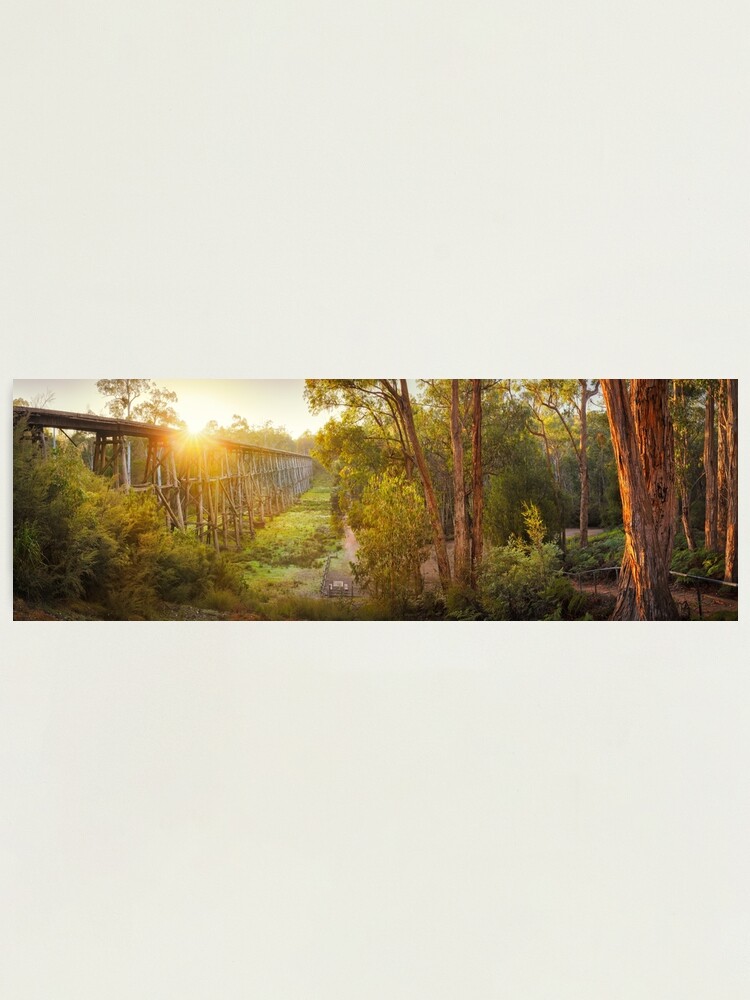 Thumbnail 1 of 3, Photographic Print, Stony Creek Trestle Bridge, Lakes Entrance, Victoria, Australia designed and sold by Chockstone.
