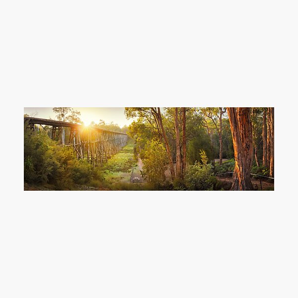 Photographic Print