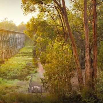 Artwork thumbnail, Stony Creek Trestle Bridge, Lakes Entrance, Victoria, Australia by Michael Boniwell