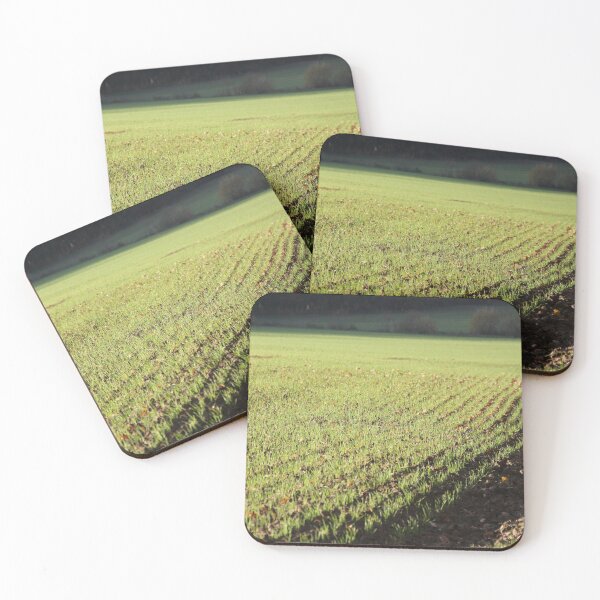 Item preview, Fields young shoots seedlings green november designed and sold by EstelleRossetti.