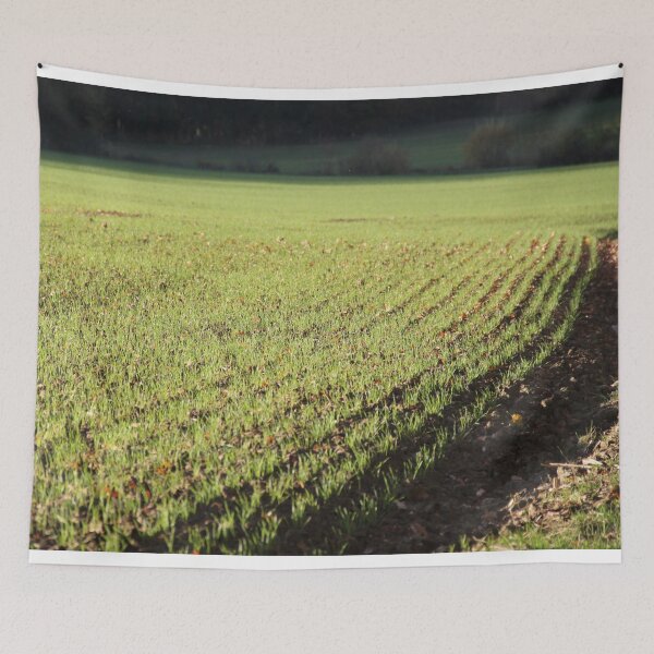 Item preview, Fields young shoots seedlings green november designed and sold by EstelleRossetti.
