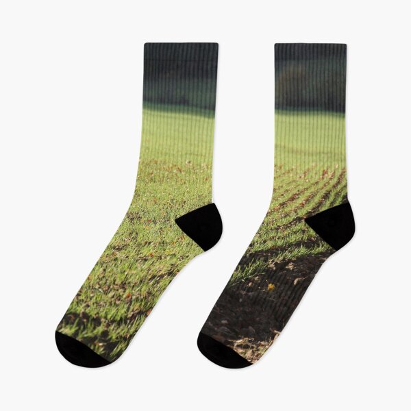 Item preview, Fields young shoots seedlings green november designed and sold by EstelleRossetti.