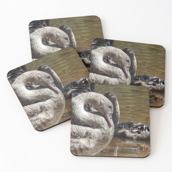 Item preview, Grey Juvenile Swan designed and sold by Naomi80.