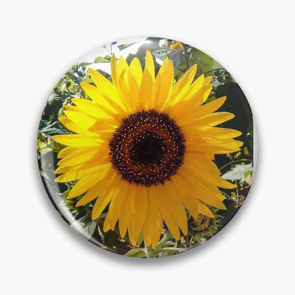 Item preview, Sunflower Fields  designed and sold by DS-by-AUDREY.