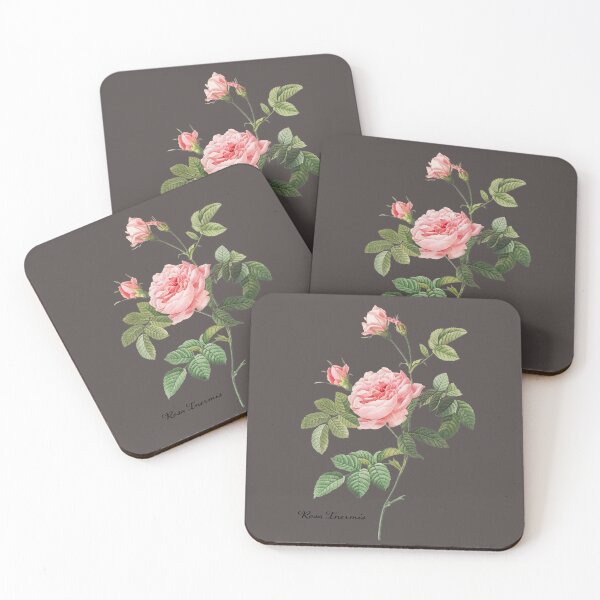 Item preview, Rosa Inermis - Pink rose designed and sold by domdjs4239.