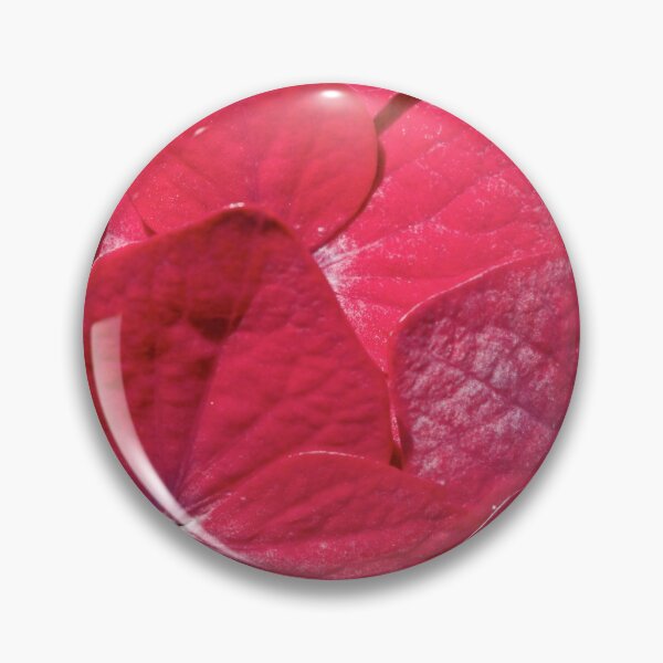 Item preview, Hydrangea closeup designed and sold by Gaspar Avila.